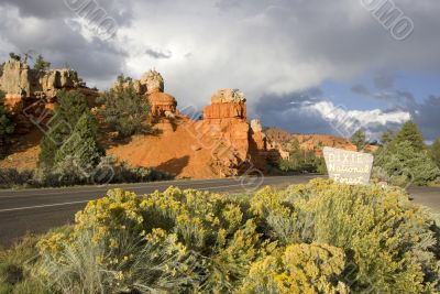 Dixie National Forest
