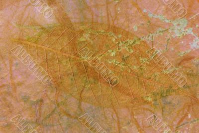Grunge background