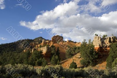 Dixie National Forest