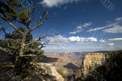 The Grand Canyon