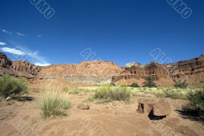 Capitol Reef National Park