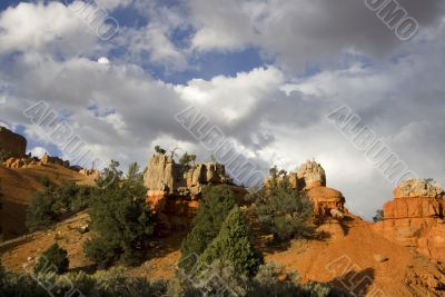 Dixie National Forest