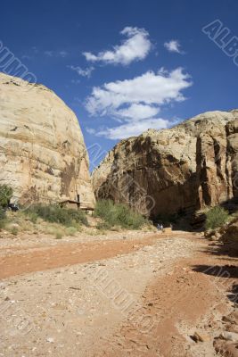 Capitol Reef National Park