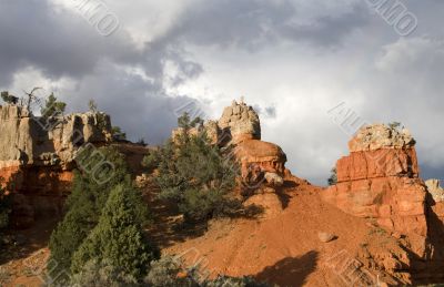 Dixie National Forest
