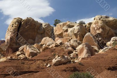 Capitol Reef National Park