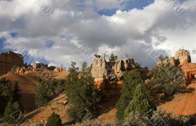 Dixie National Forest