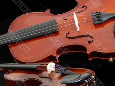 Two Violins