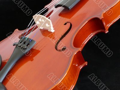 Violin