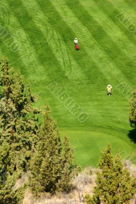Golfers on bright green fairway
