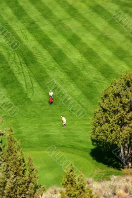 Golfers on bright green fairway