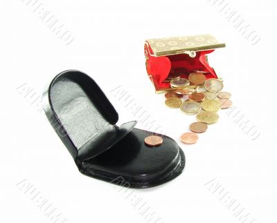 Man`s and female purse with coins