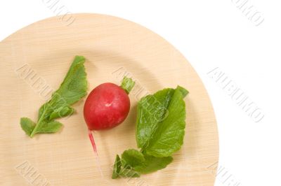 Radish on Bamboo