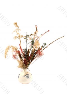 Dried Pussy Willows