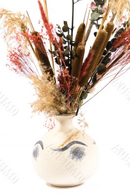 Dried Pussy Willows