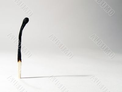 Lonely burnt match