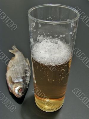 Beer and fish