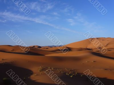 Desert