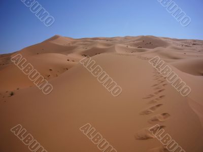 Desert