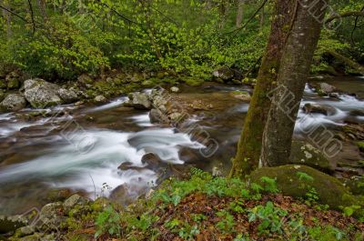 Spring Big Creek