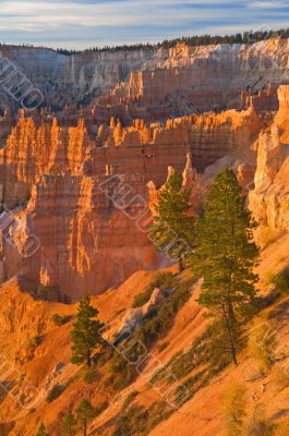 Sunrise Bryce Canyon National Park