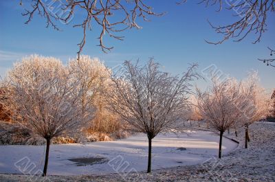 Winter in Holland