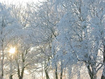 Winter in Holland