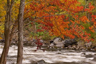 Autumn Pigeon River