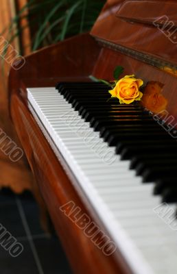 Classic piano