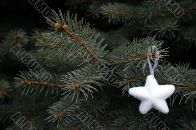 white star