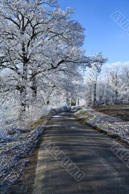 Winter landscape an icy road