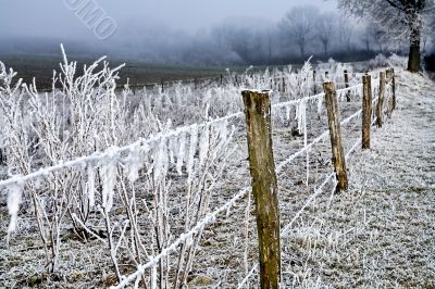Winter landscape icy barbed wire