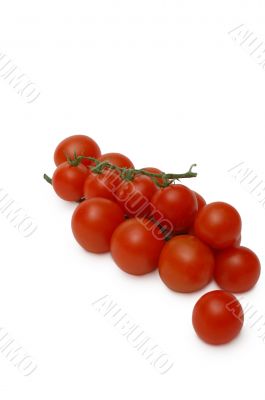 branches of cherry tomato