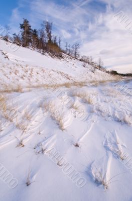 Winter Saugatuck Dunes