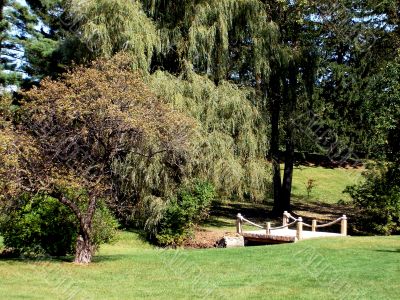 Bridge In the Park 1