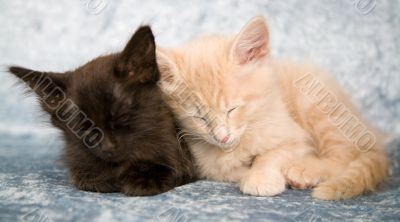 Sleeping together