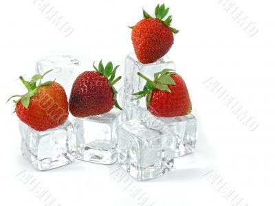 strawberries