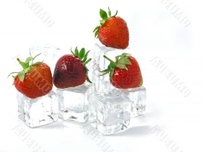 strawberries