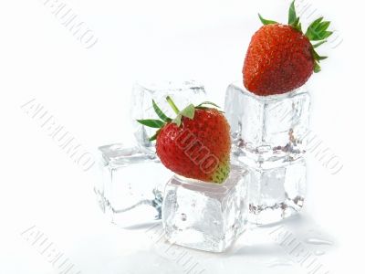 strawberries