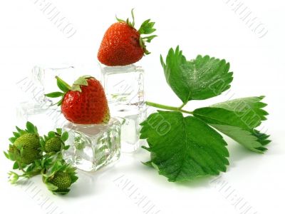 strawberries
