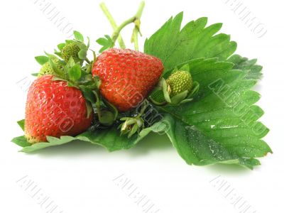 strawberries