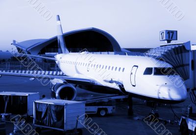 Morning flight