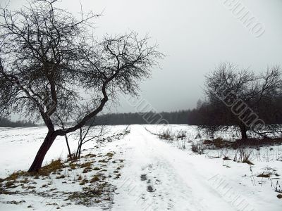 winter rural road
