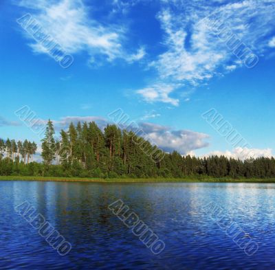 forest lake