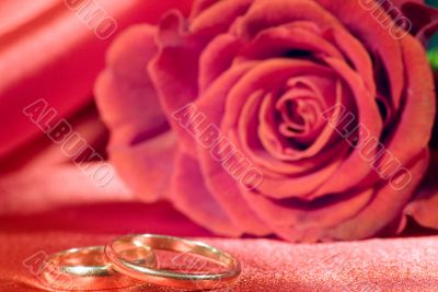 rings and rose