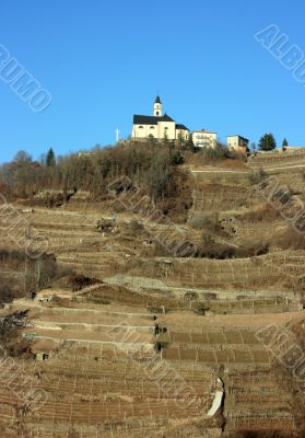 Church and vineyard