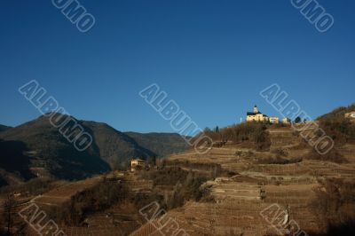 Church and vineyard