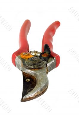 Pruning shears