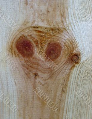 Knots on textured wooden plank like alien face