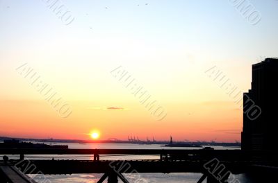 Downtown New York City Skyline