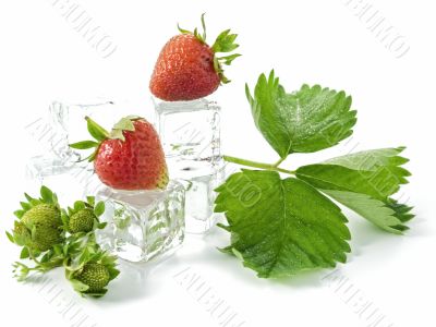 strawberries